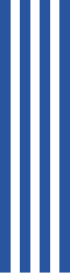 Blue vertical stripe
